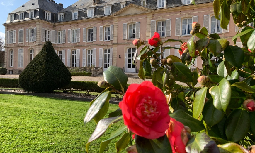 Image 3: Repas raffiné au Château de Sissi - Restaurant  "Les 3 Roses"