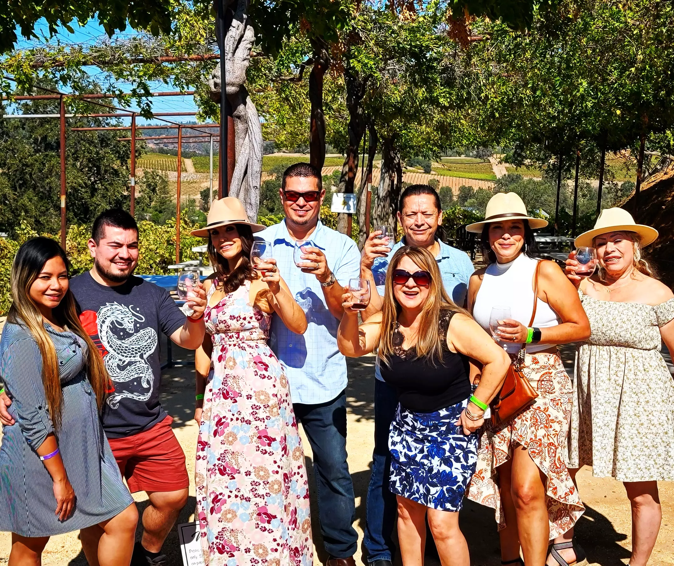 Up to 20% Off on Wine / Vineyard Tour at Yolo Tours LLC - Primary Image