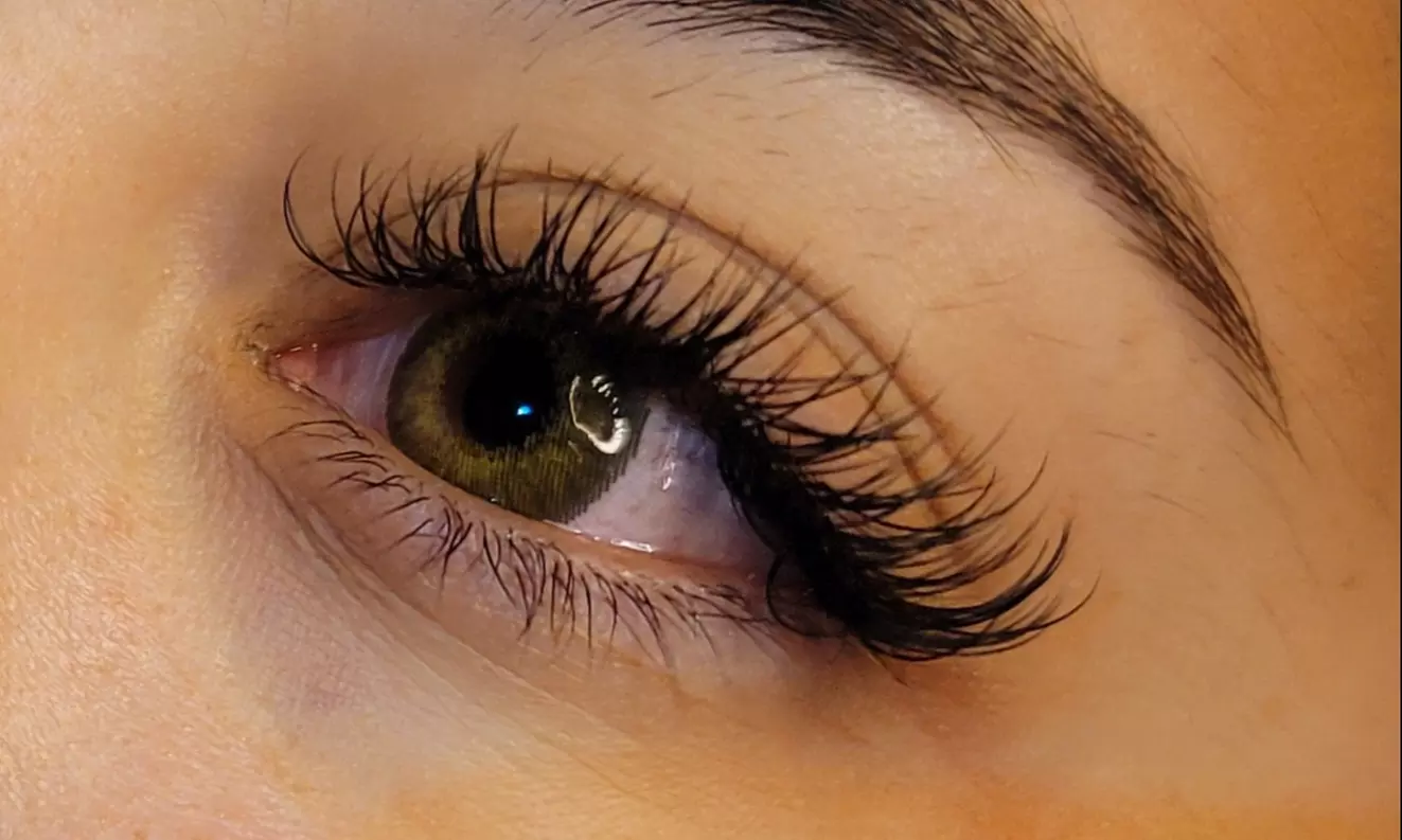 Up to 50% Off on Eyelash Extensions at Elite Cryo - Primary Image