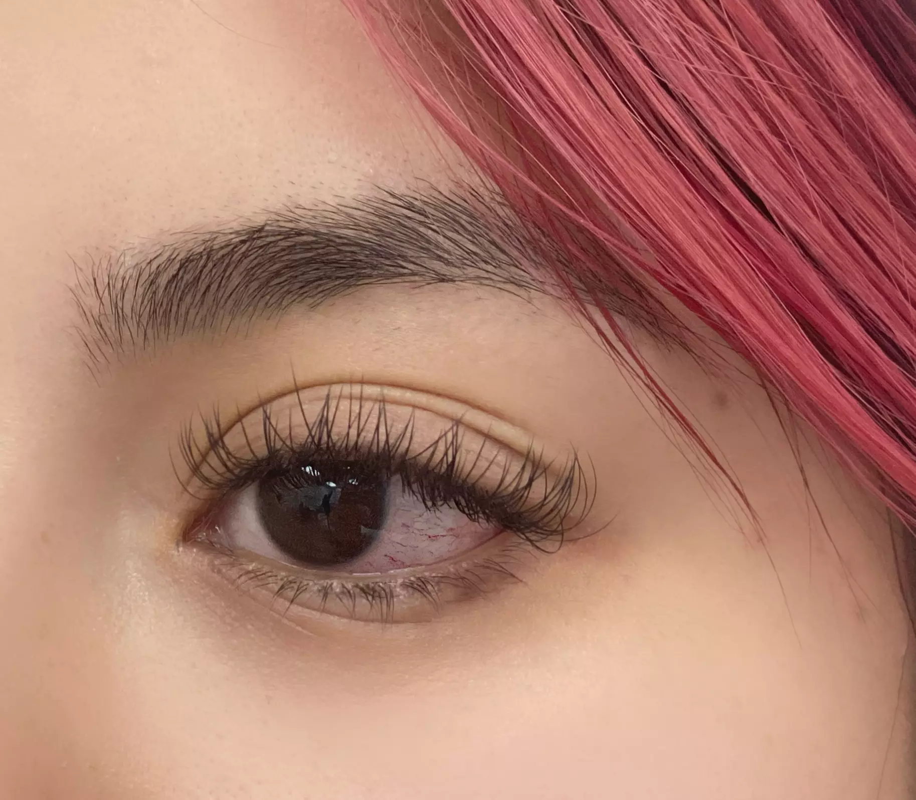 Up to 65% Off on Eyelash Extensions at LashZoo Eyelash extension - Primary Image