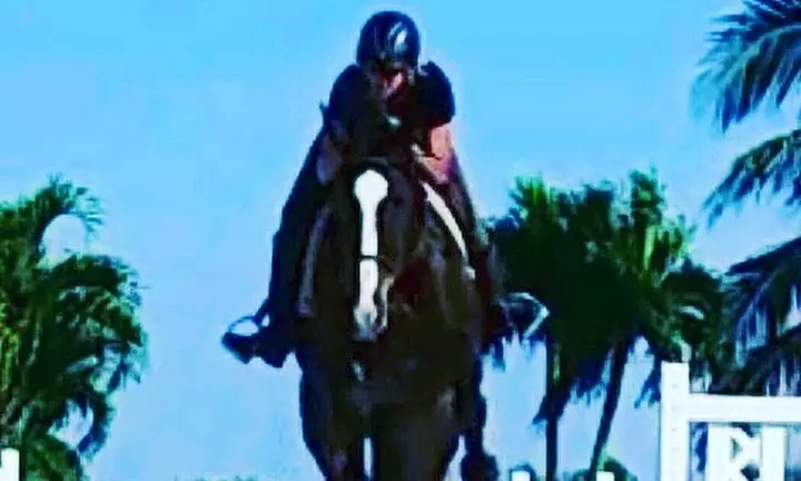 Up to 14% Off on Horse Back Riding - Training at Sun West riding school - Primary Image