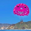 Image 4: Panoramic Catalina Parasailing For Solo Adventurers and Groups