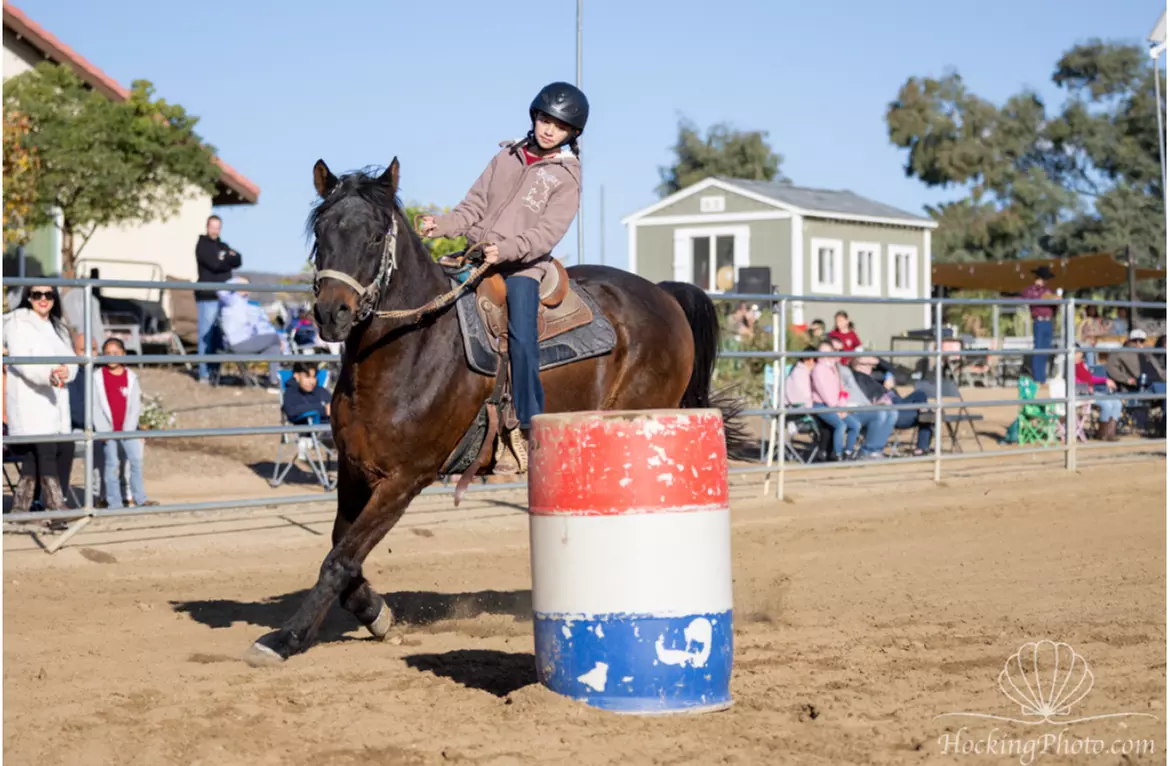 Horseback Riding Lesson: Fun 60-Minute Training for All Ages
