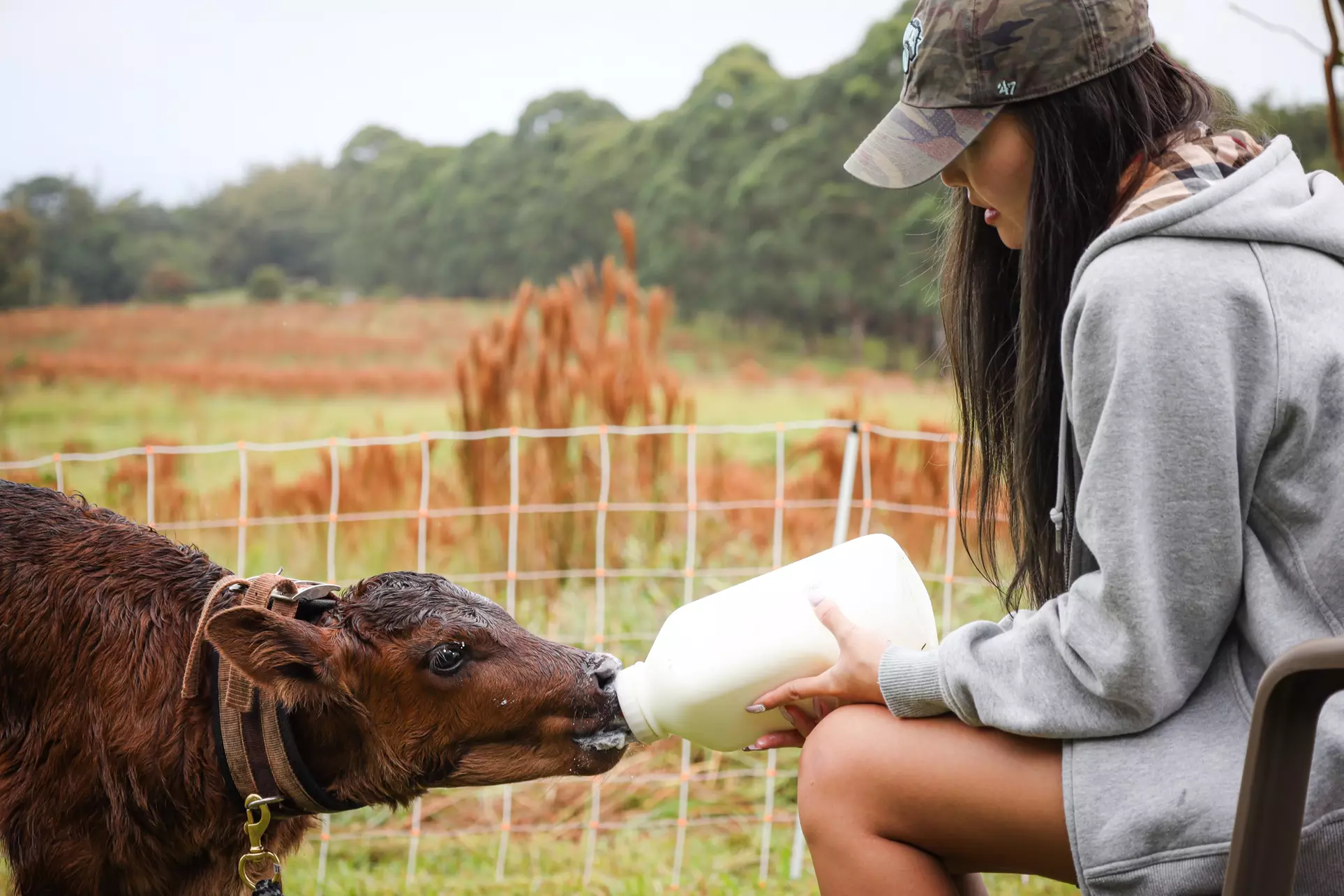 Up to 53% Off on Farm Tour at Ohana Ranch