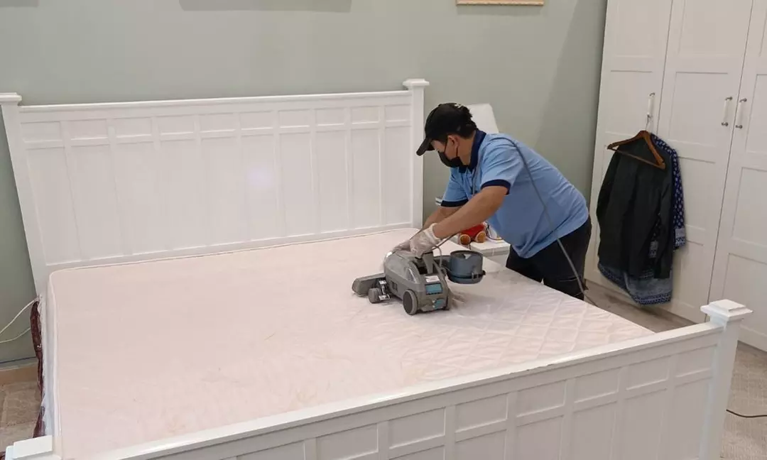 Allergy Care Cleaning Services