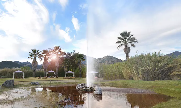 Up to 47% Off on Zoo / Animal Park at Old Faithful Geyser of California - Primary Image