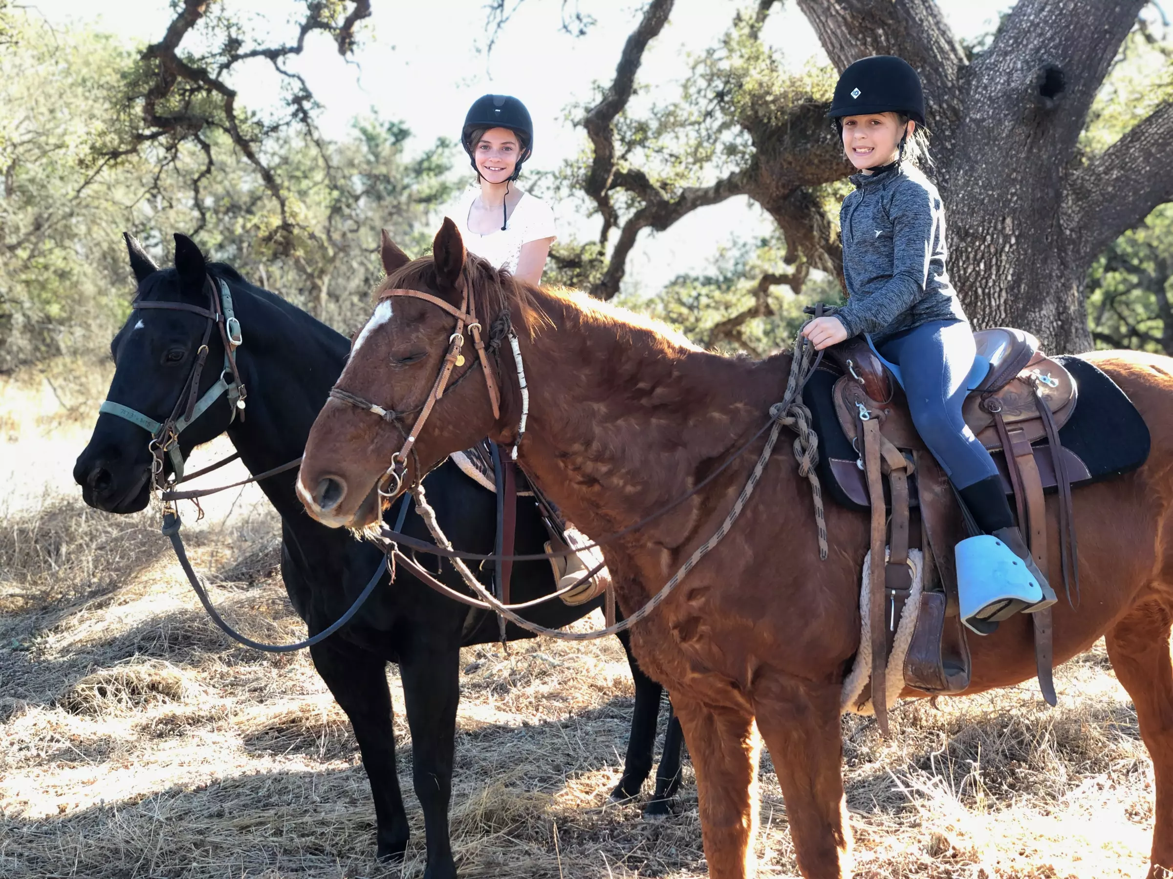Horseback Riding Lessons & Scenic Trail Rides at Cloverleaf Ranch