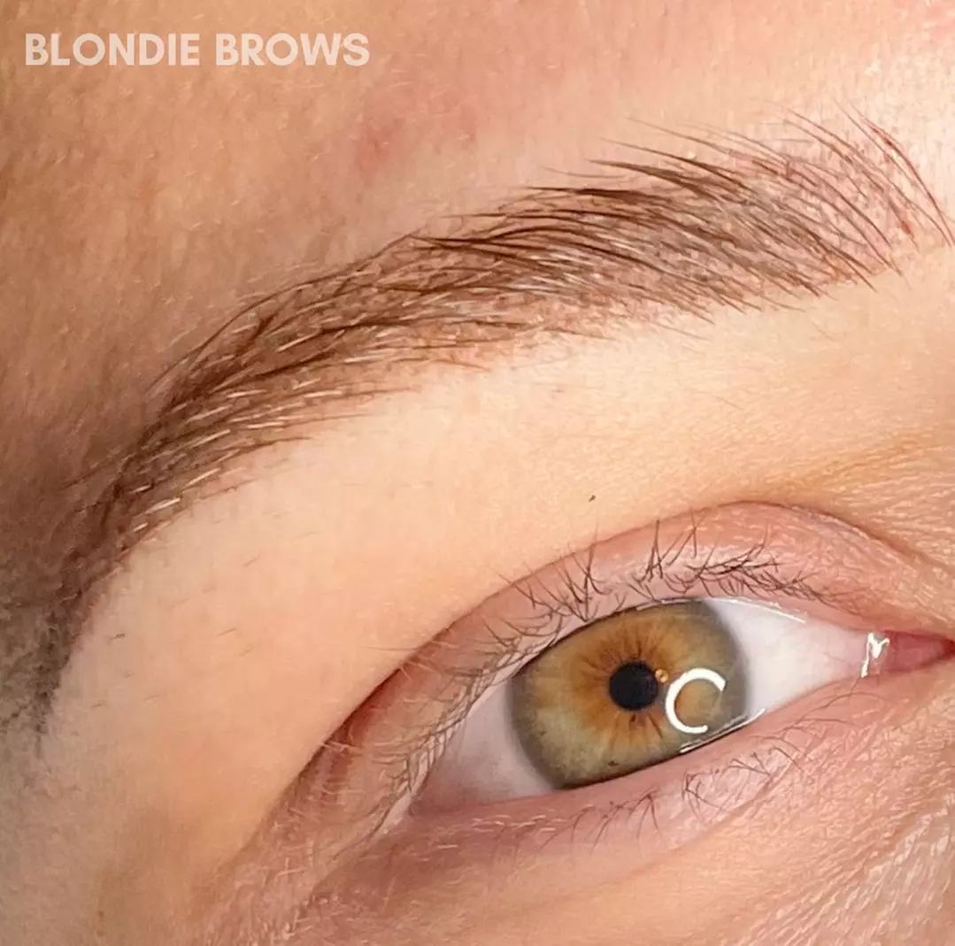 Up to 40% Off on Permanent Makeup at Blondie Brows NC - Primary Image