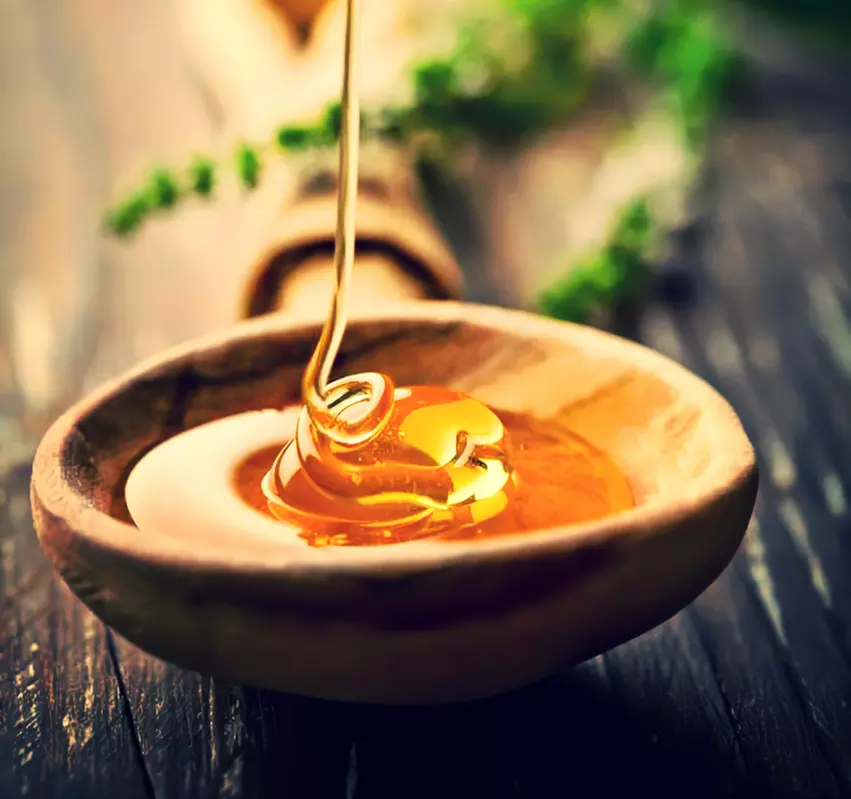 Experience Brazilian Wax or Sugaring with Optional Brow Waxing at Zeka Salon & Spa, enjoy up to 49% off for smoother skin - Primary Image