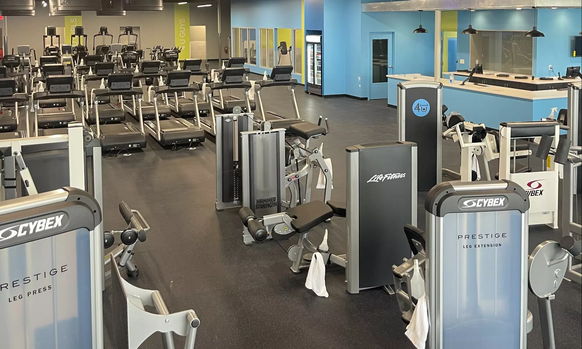 Explore Flexible Gym Memberships for One or Two Months