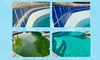 Transform Your Pool with Green to Clean or Pool Tile Cleaning (Up to 40% Off) For a Sparkling Finish