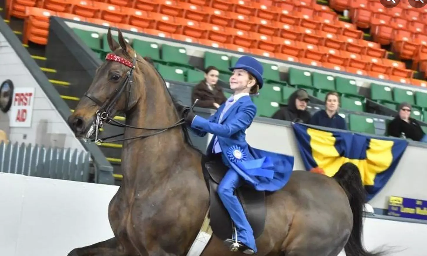 Up to 45% Off on Horse Back Riding at Chase Farms - Second Medium