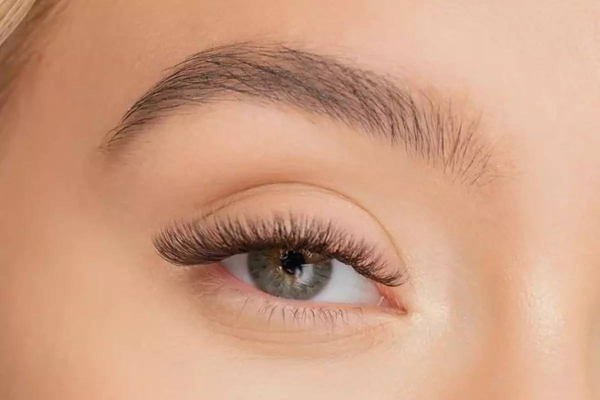 Up to 49% Off on Eyebrow Extensions at Mink Kink Lash & Brow - Primary Image