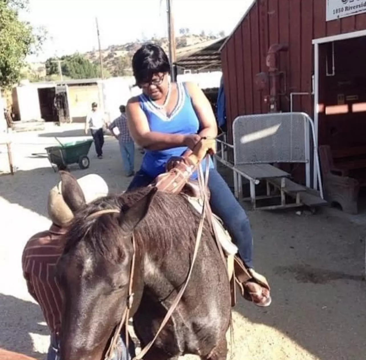 Up to 38% Off on Horse Back Riding at Rent Lux - Primary Image