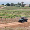 Image 2: Explore the Vineyard with a UTV Tour and Wine Tasting Adventure