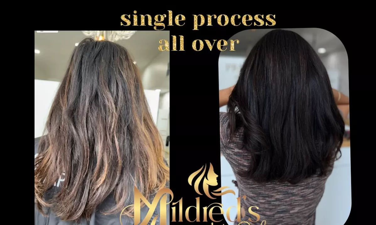 Up to 23% Off on Salon - Hair Color / Highlights at Mildred  Hair stylist - Primary Image