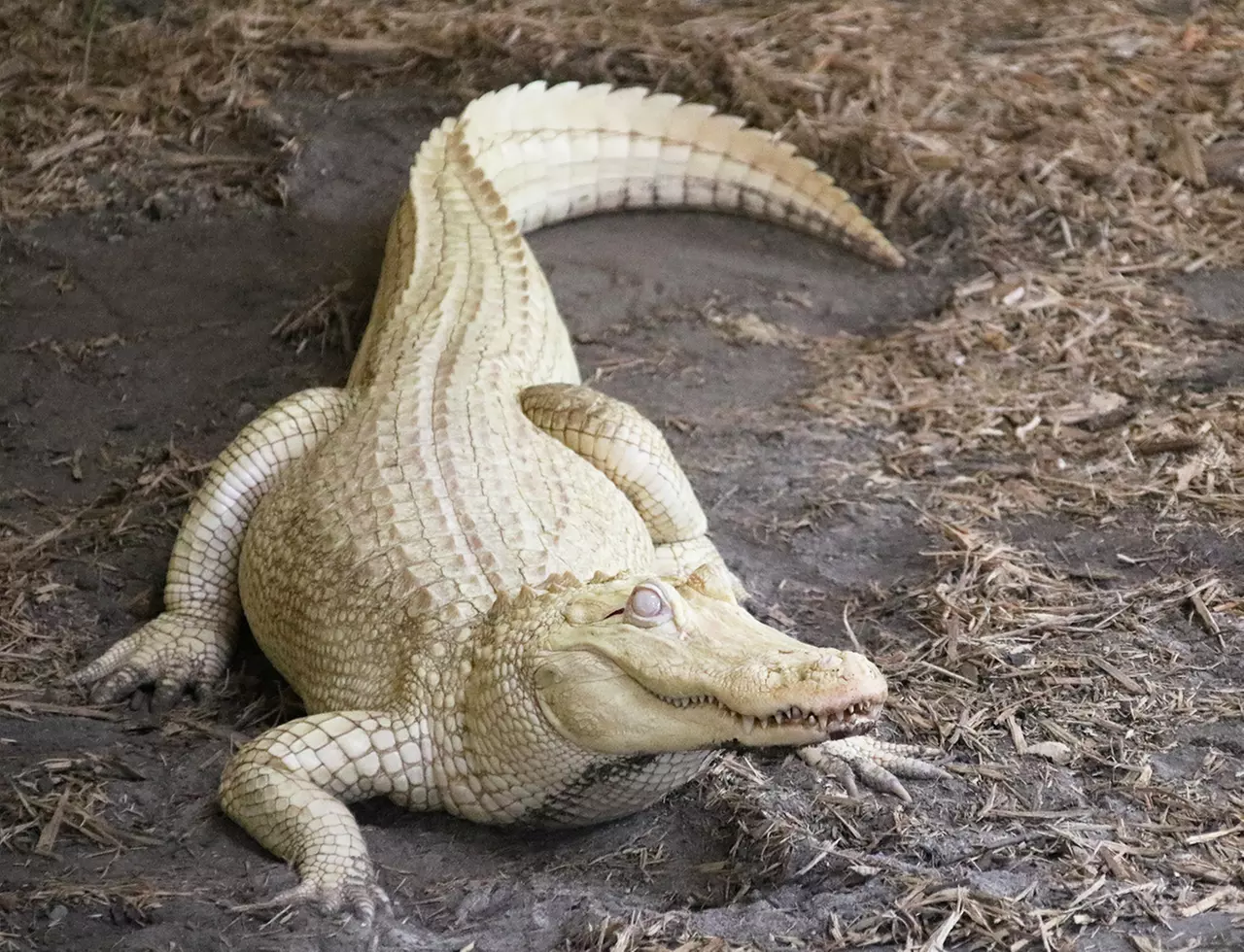 Admission or Membership Options for Fun Marine Adventure Park - Second Medium