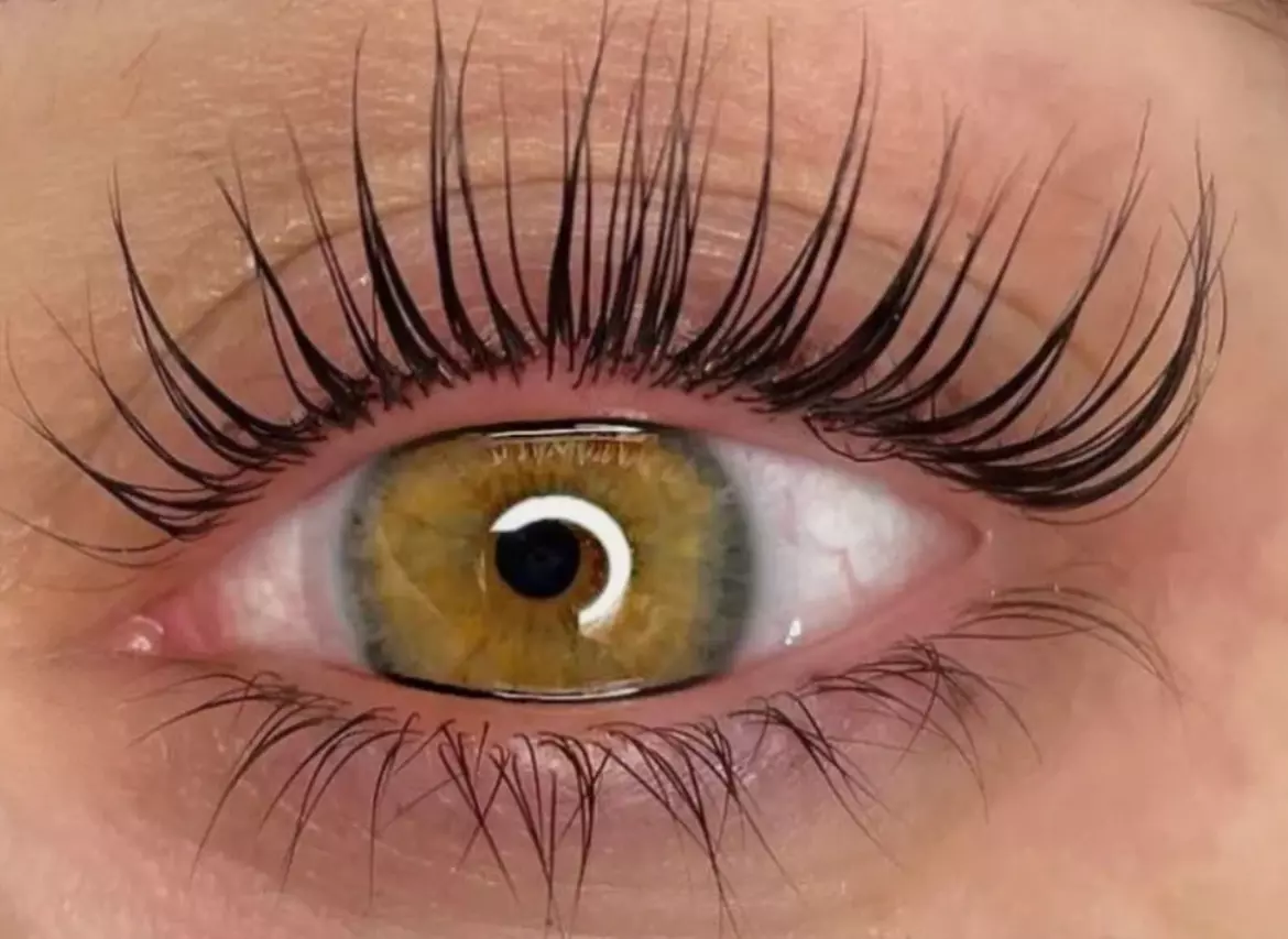Transform Your Look with Lash Lift and Tint Services