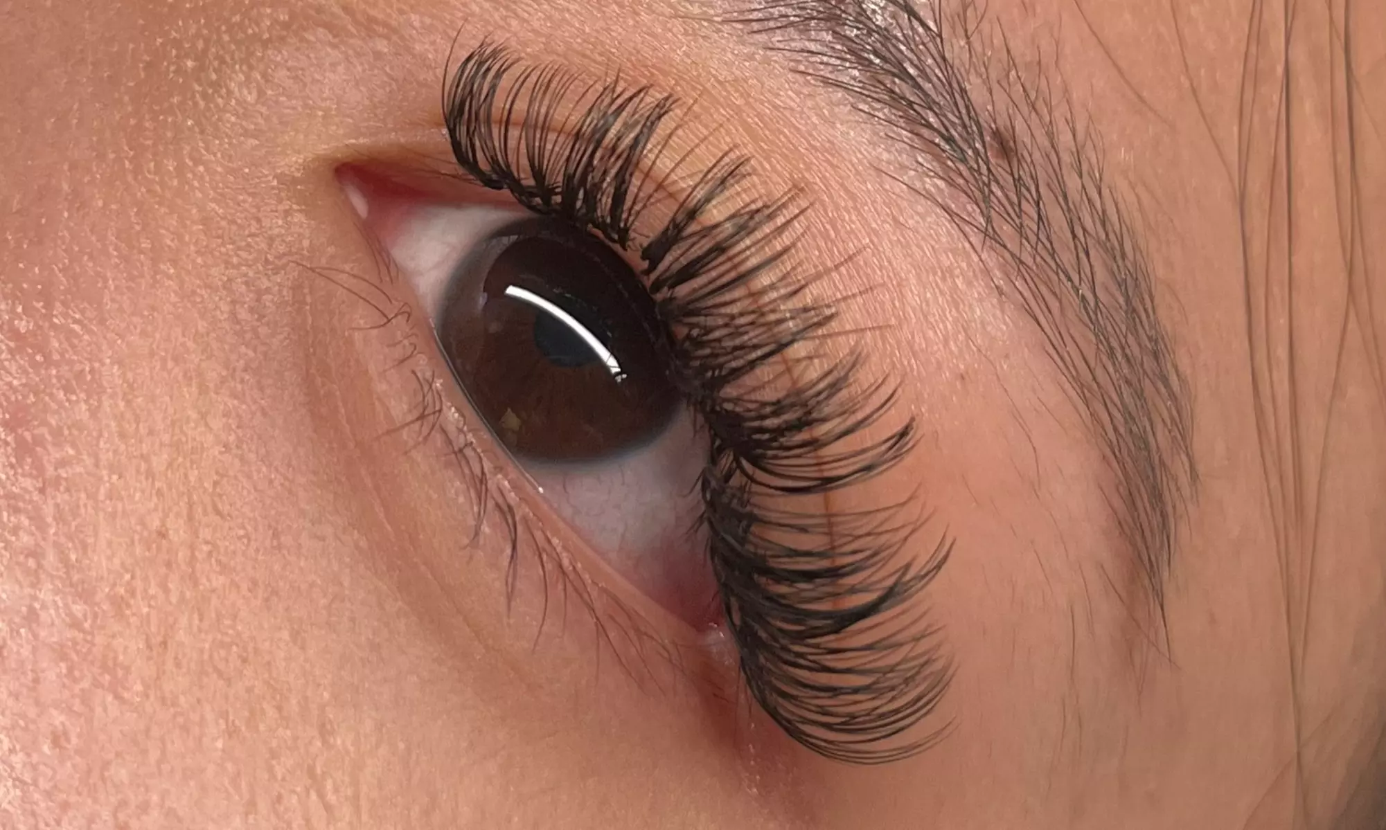 Up to 55% Off on Eyelash Extensions at Lee Lash LLC