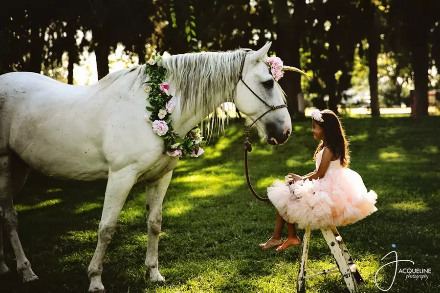 Up to 25% Off on Equestrian Experience at Ocean View Stables - Second Medium