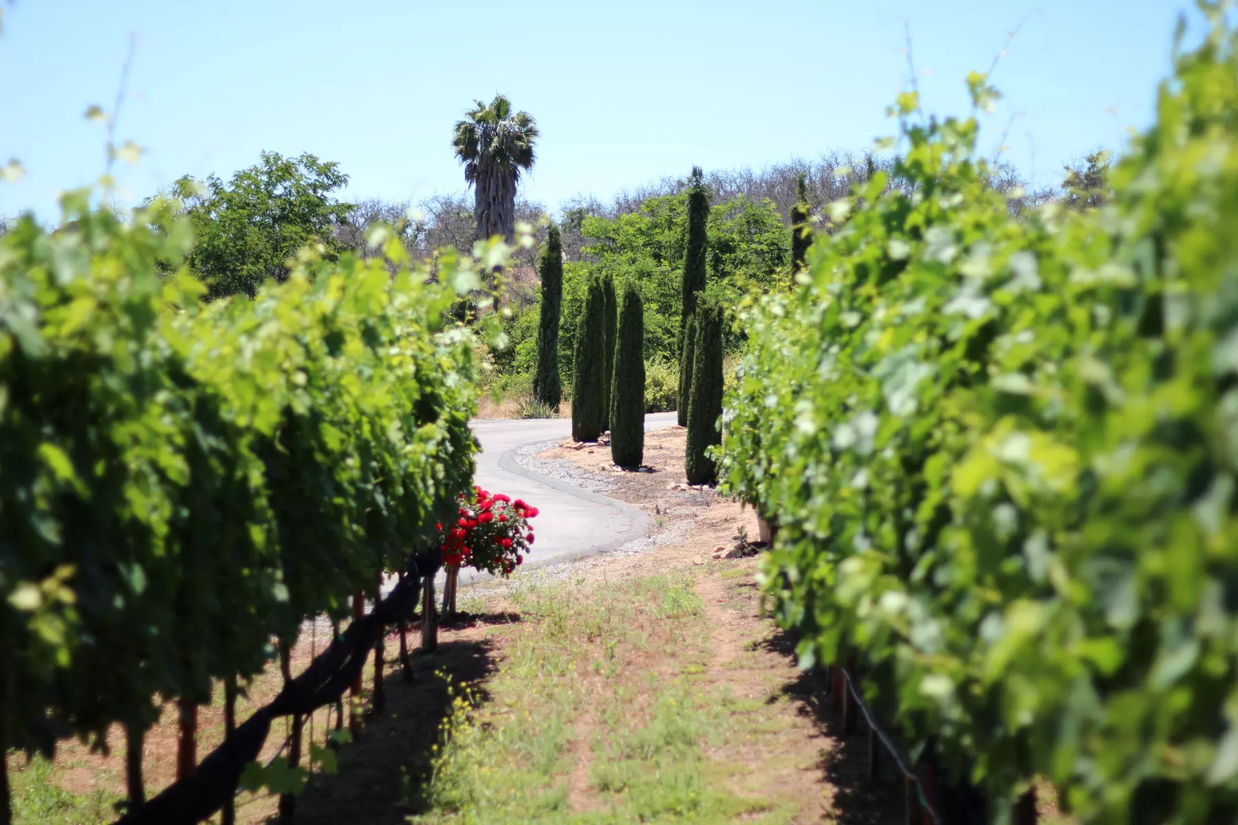 Up to 45% Off on Wine Tasting / Flight at Sky Valley Cellars