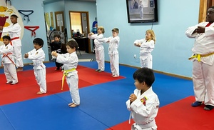 Join Six Weeks of Karate for Kids or Adult Martial Arts Classes