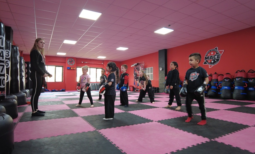 Image 2: Up to 64% Off at Martial Arts Centre of Excellence Stourbridge