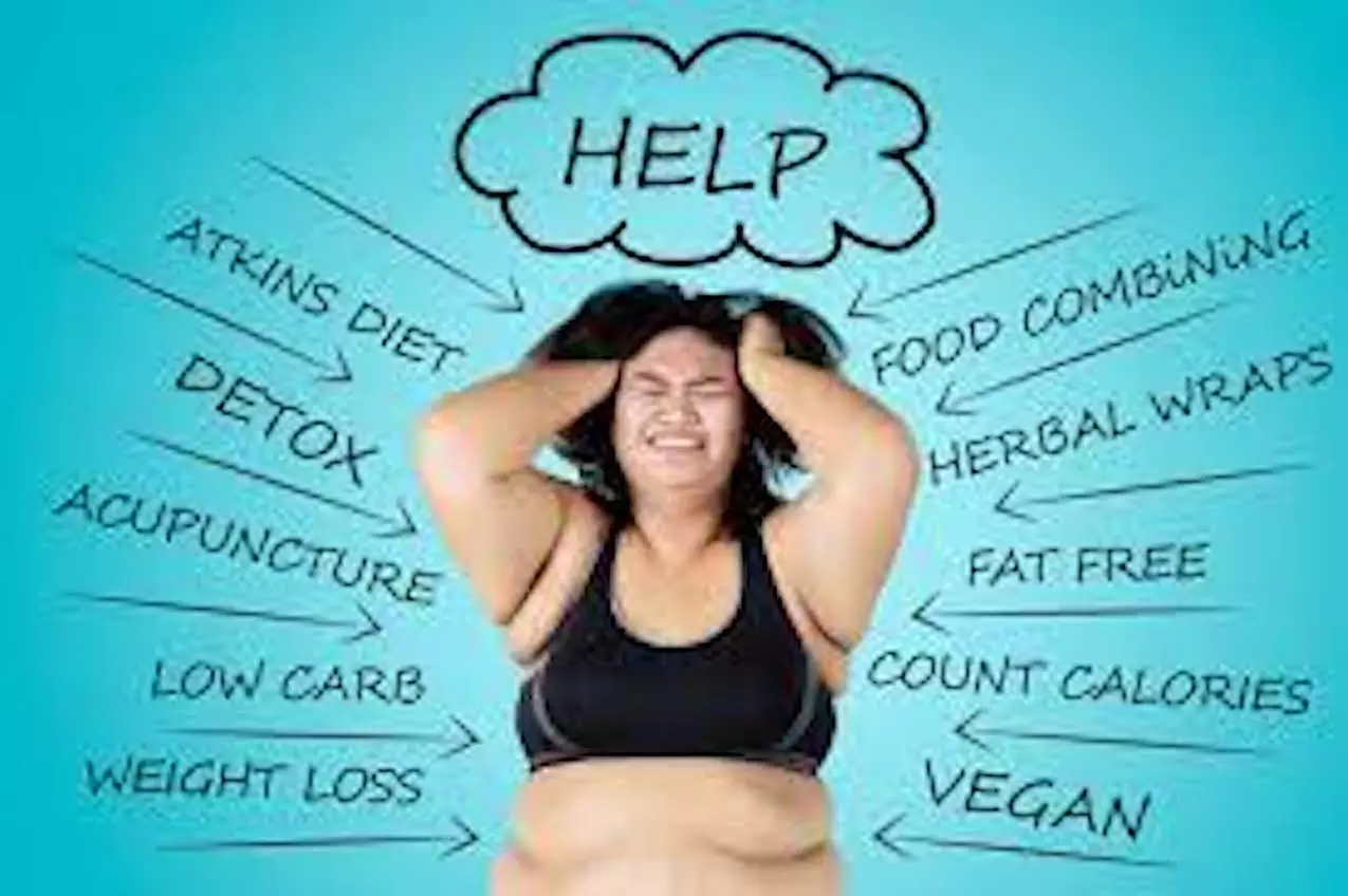Weight Loss Programme / Centre at United Kingdom