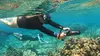 Up to 25% Off on Guided Tour at Ocean Thrills