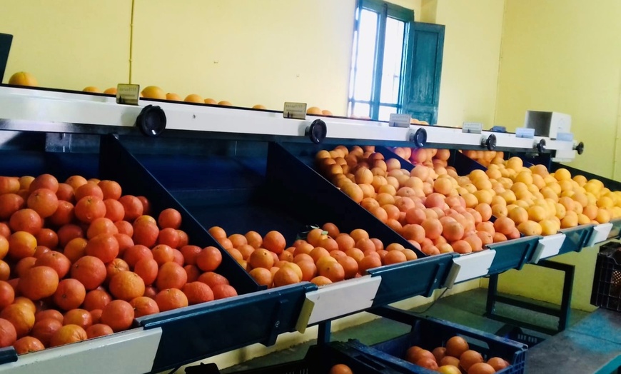 Image 14: Elabora tu propio vermut y visita un lugar emblemático para 1, 2 o 4 