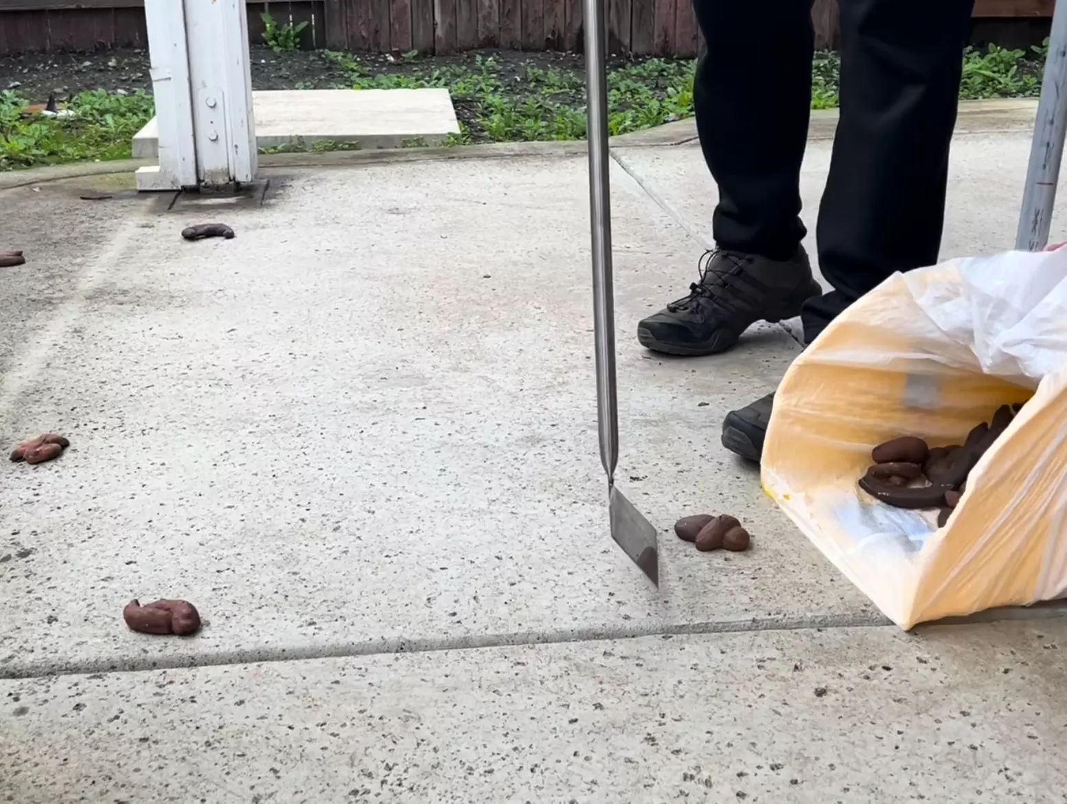  Get Dog Poop Pick-Up Service with Optional Yard Deodorizing Treatment