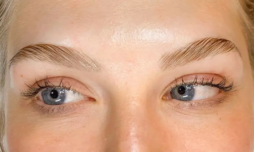 Experience a Brow Lamination Session at Scottsdale Skin and Holistic Health with up to 50% off - Primary Image