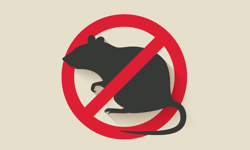 Image 1: Up to 79% Off on Pest Control Service - Rodent at Impressive Exterminating Pest Control