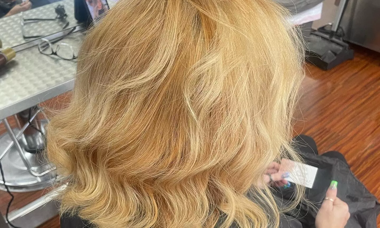 Up to 50% Off on Salon - Hair Color / Highlights at Elegant Beauty Lounge - Primary Image