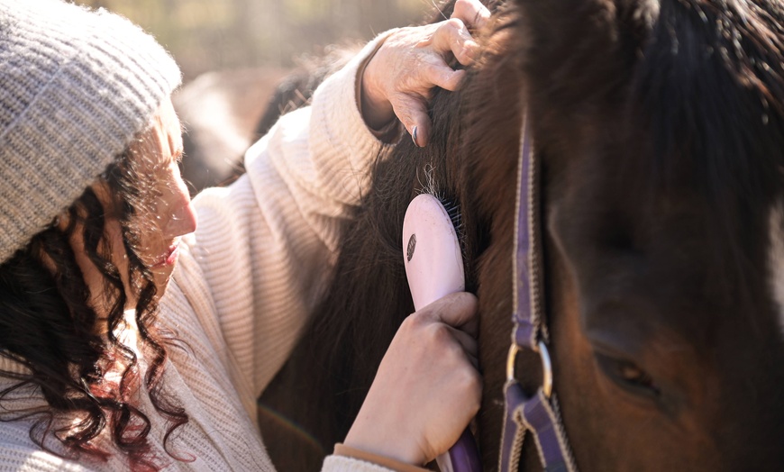 Image 1: Intro to Horseback Ride, Beginner Riding Lesson /Interactive Farm Tour