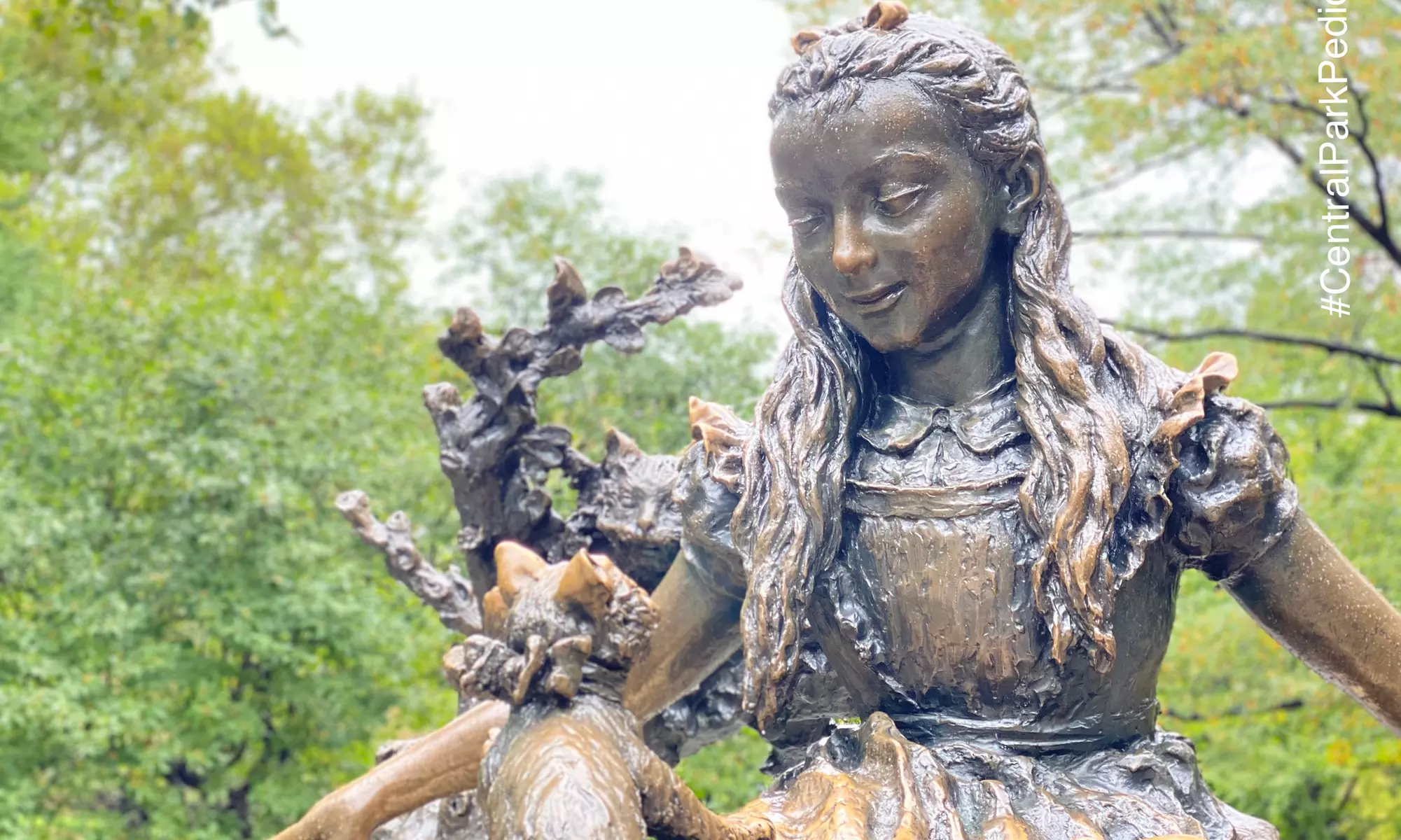 Explore Central Park with Pedicab Tours for Up to Three People