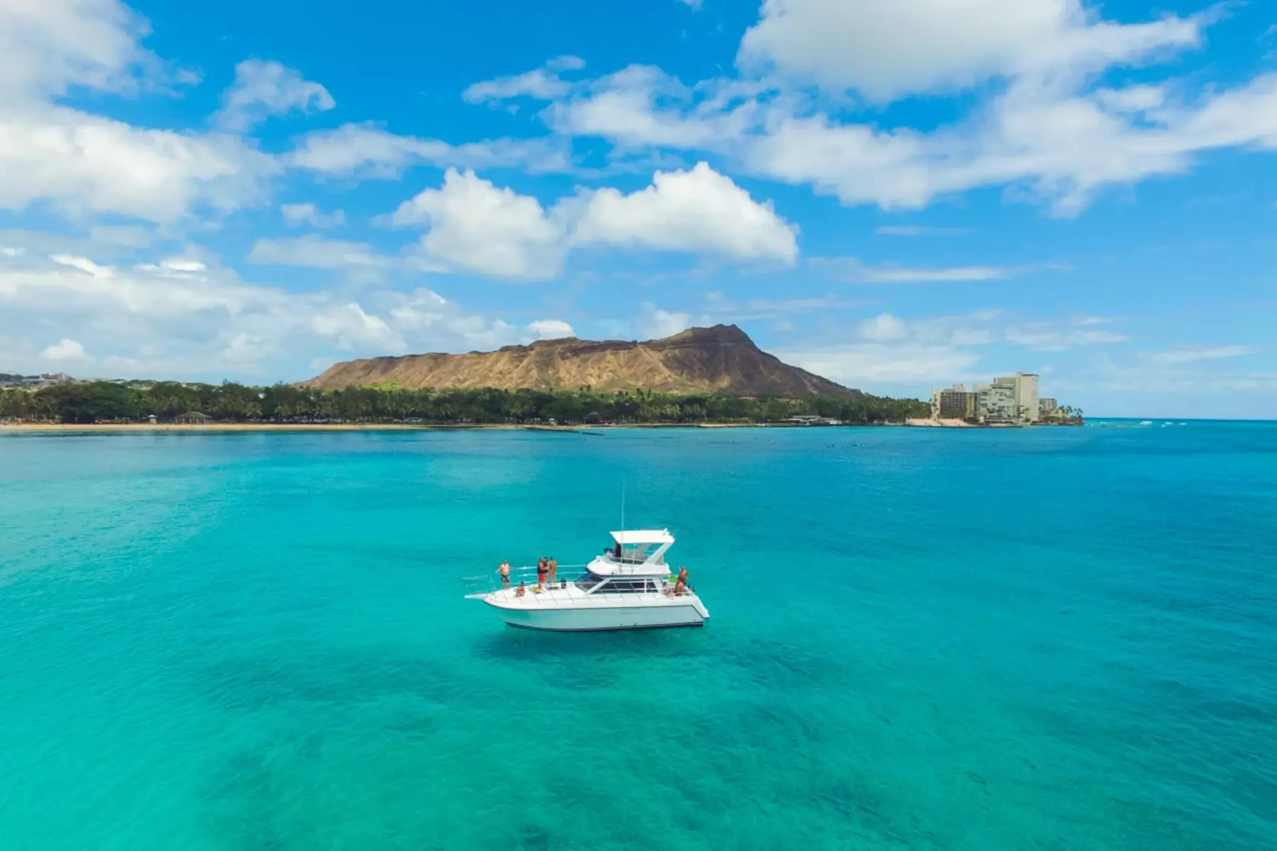 Explore Vibrant Sea Life with Hawaii Dive Center's SCUBA Options Up to 40% Off - Primary Image