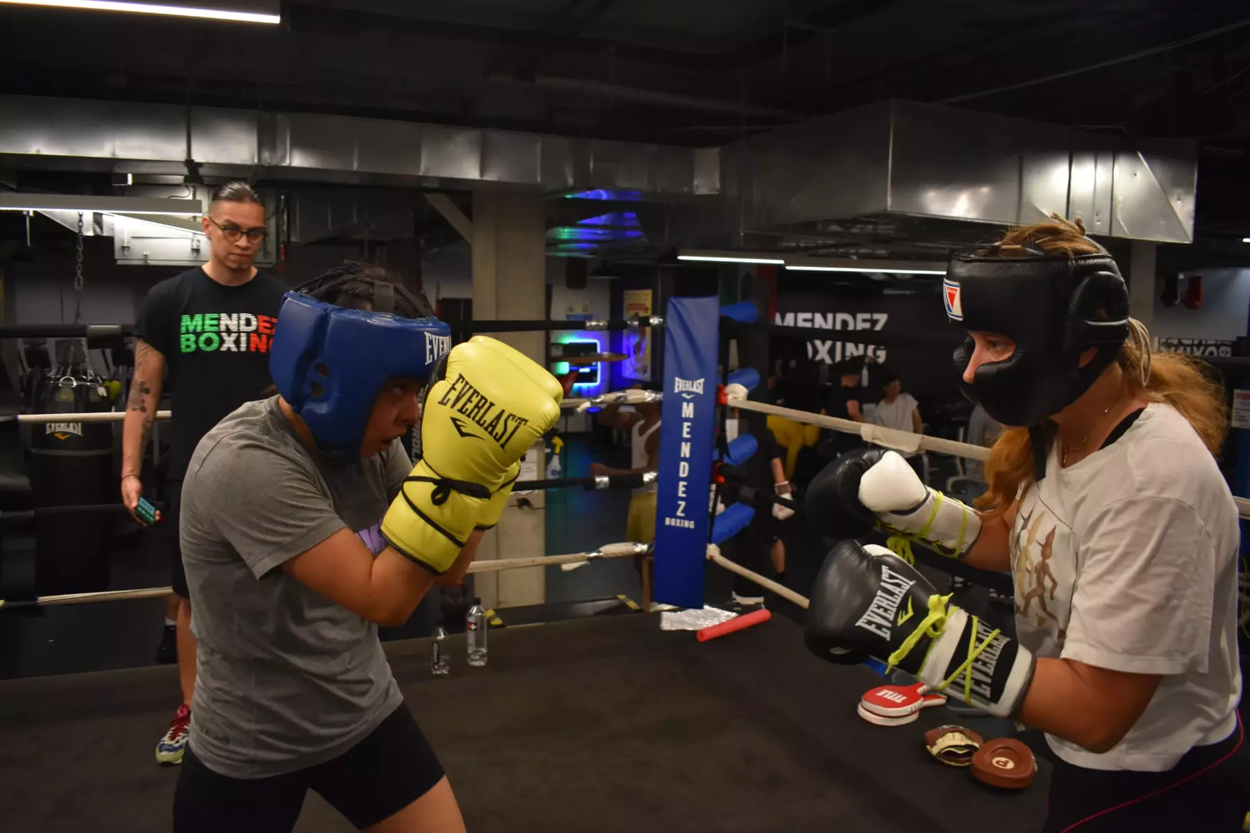 Four Classes of Boxing Training at Mendez Boxing Harlem
