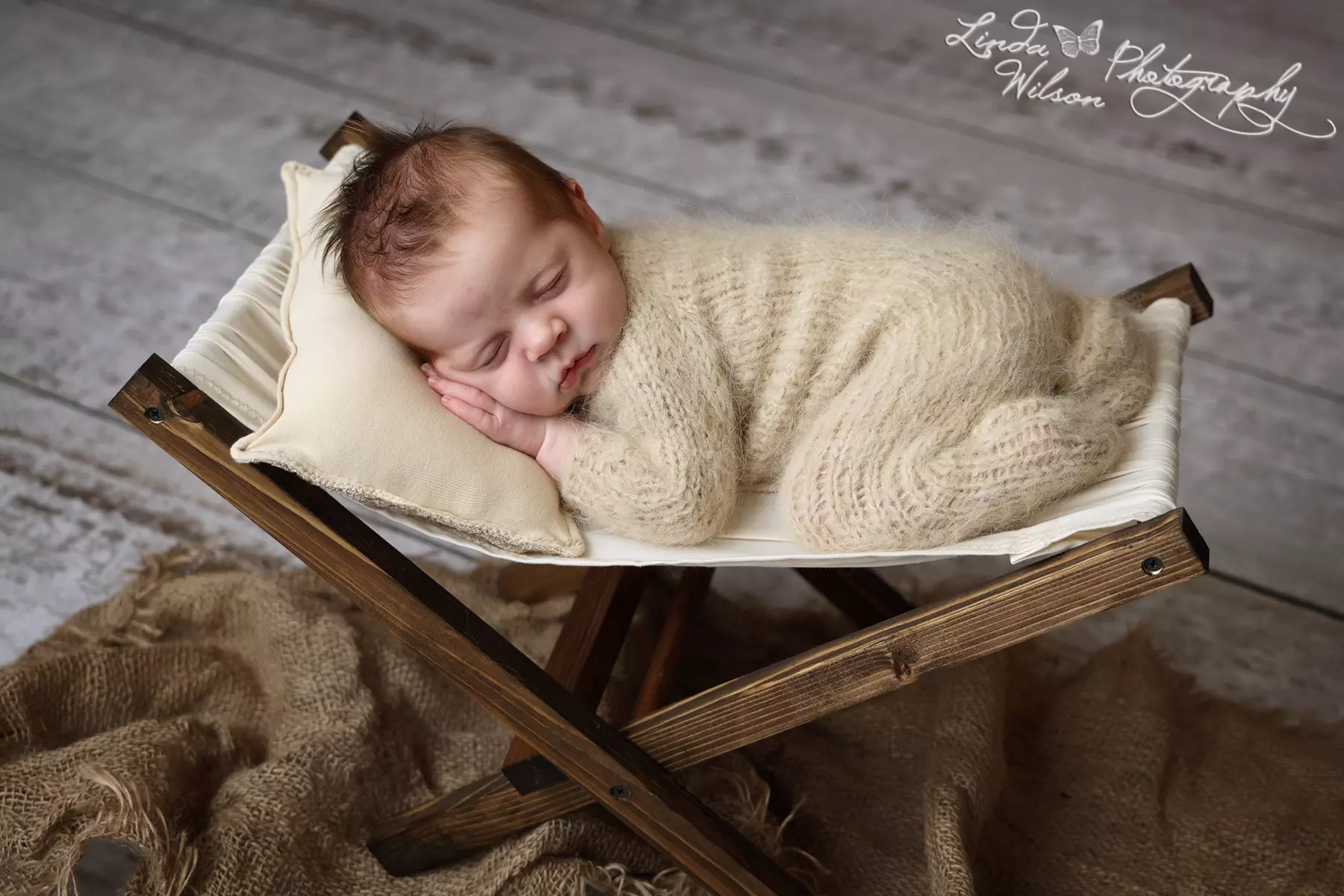 Up to 50% Off on Studio Photography at Linda Wilson Photography