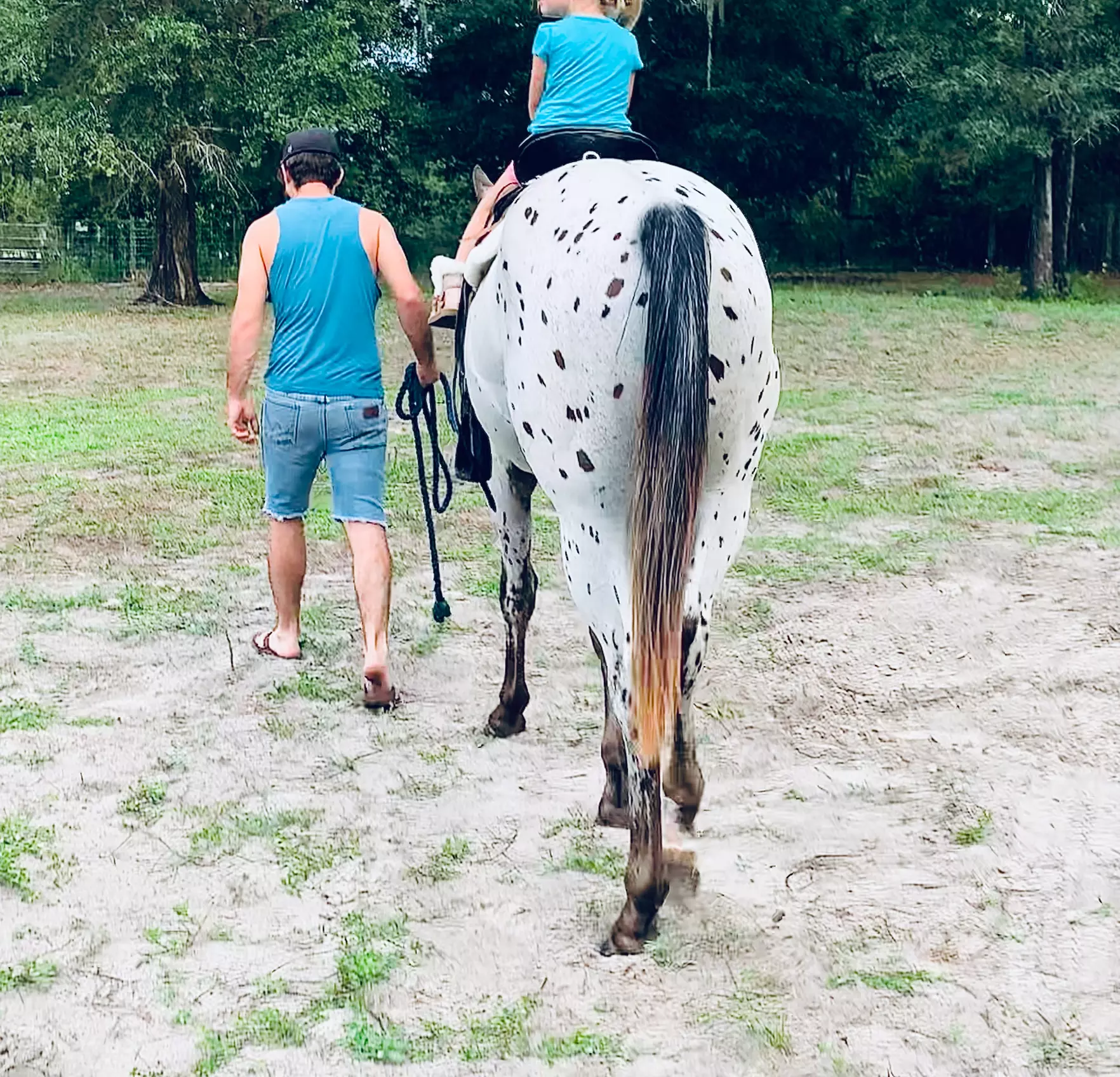 Up to 30% Off on Horse Back Riding at Appy Veterans LLC - Primary Image