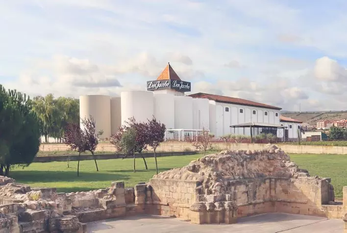 Visita de la bodega con cata de 3 vinos y maridaje