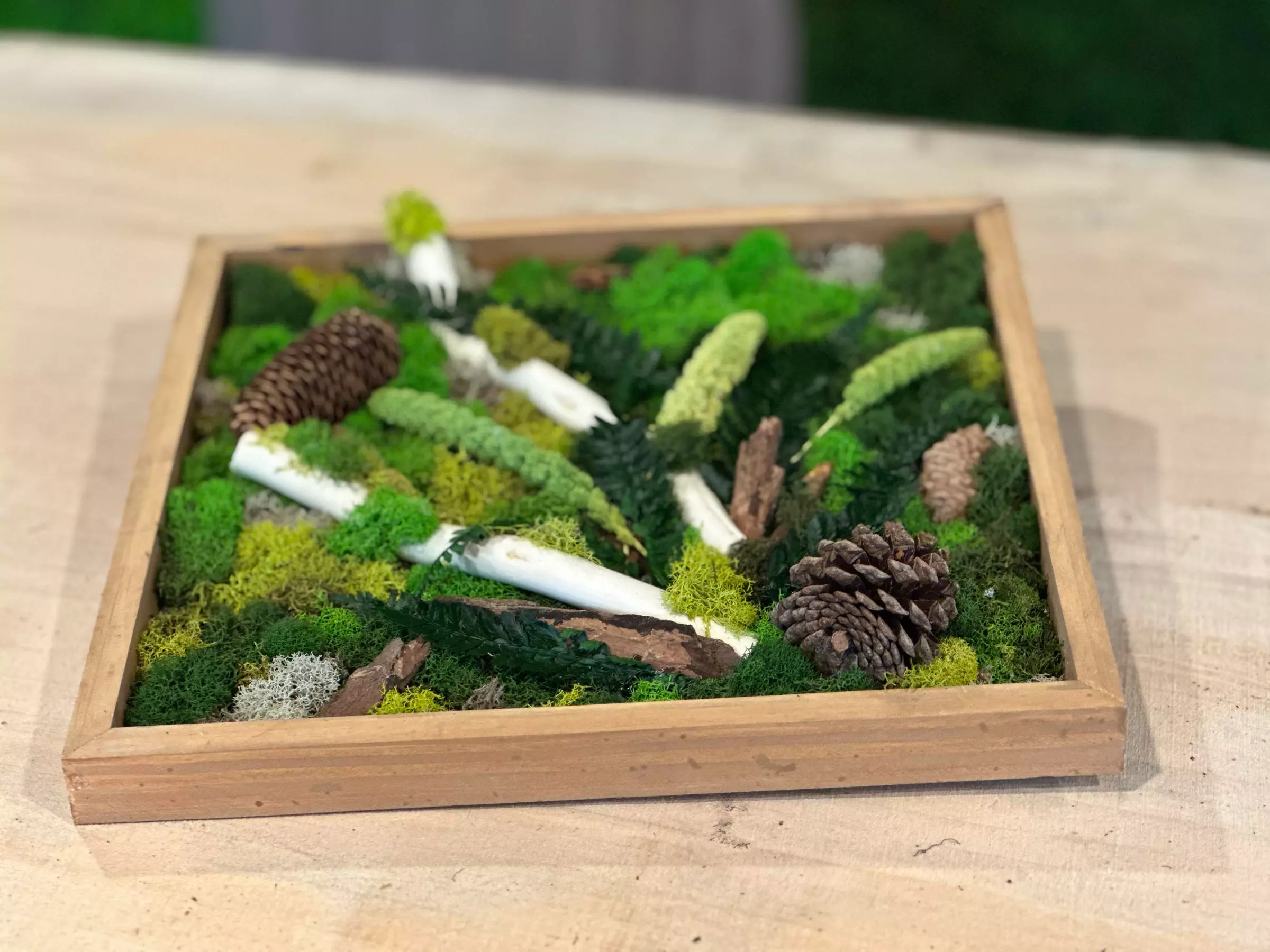 Up to 38% Off on Moss Art Workshop - Primary Image