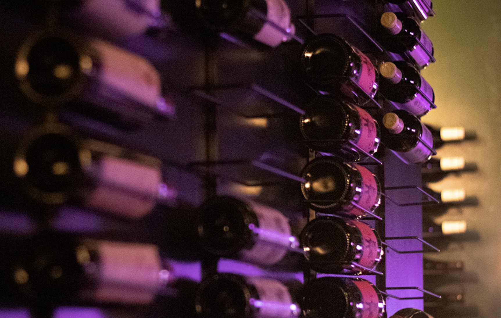 Up to 60% Off on Wine Tasting / Flight at Rebel Wine Bar