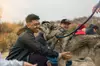 Join Wolf Connection for an unforgettable 2.5-Hour Private Visit for Four or Five People  (Up to 23% Off)