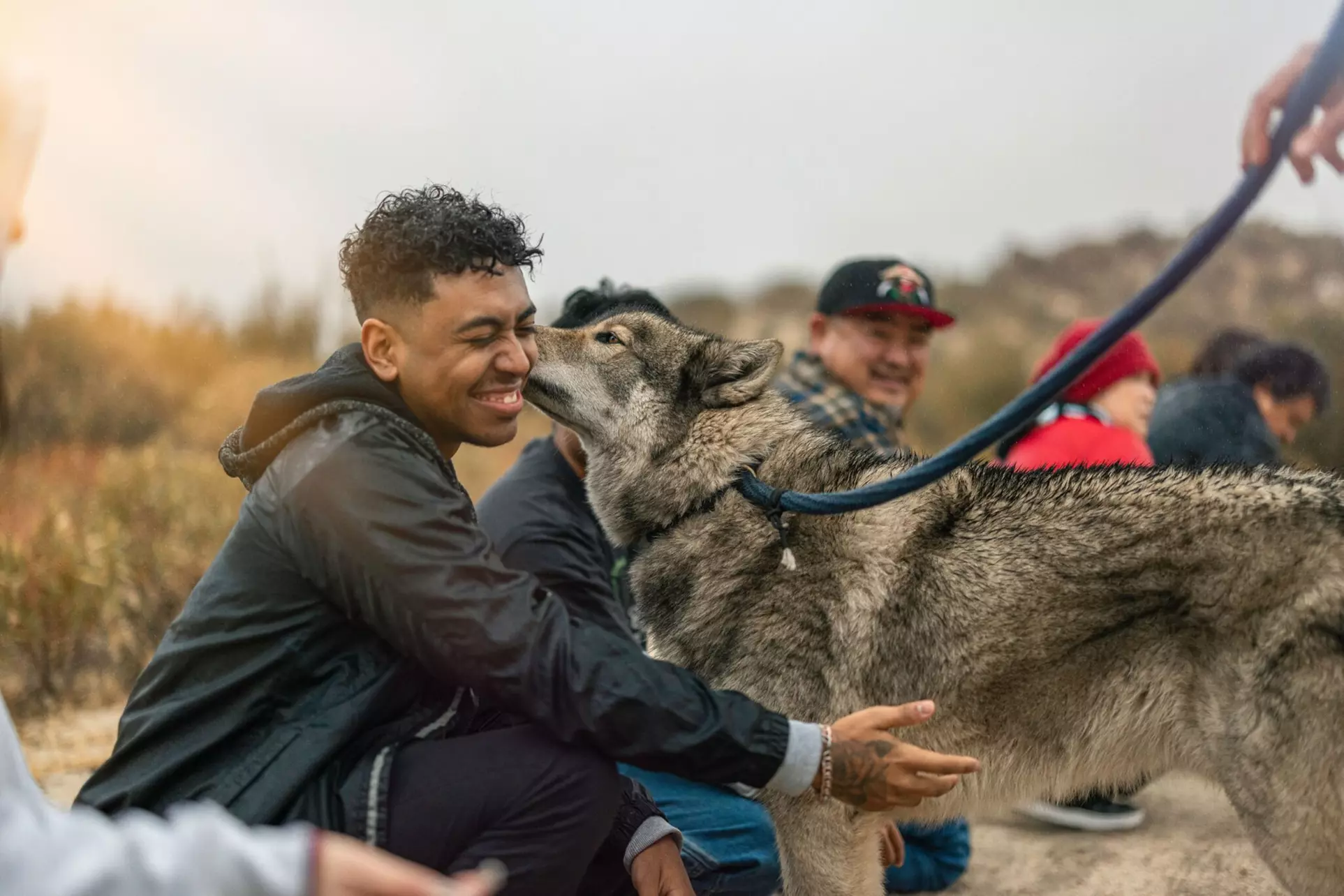 Join Wolf Connection for an unforgettable 2.5-Hour Private Visit for Four or Five People  (Up to 23% Off) - Primary Image