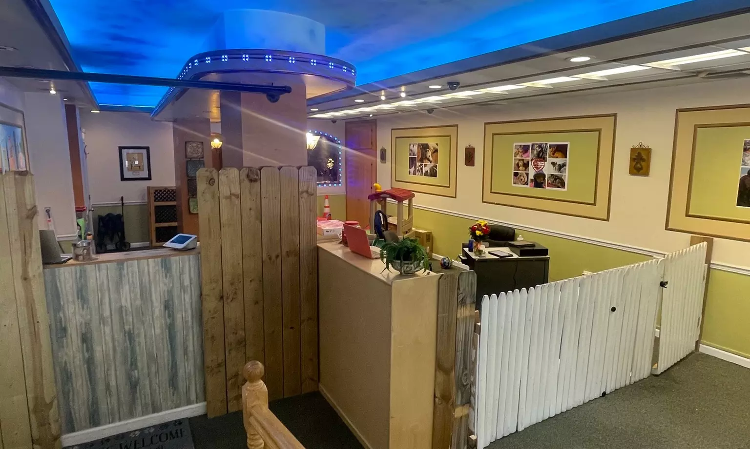 Up to 38% Off on Pet Daycare at Bark Place NYC - Primary Image