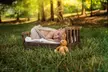 Up to 59% Off on Seasonal Photography at Shelles Creative Photography - Second Medium