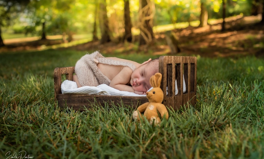 Image 6: Up to 59% Off on Seasonal Photography at Shelles Creative Photography