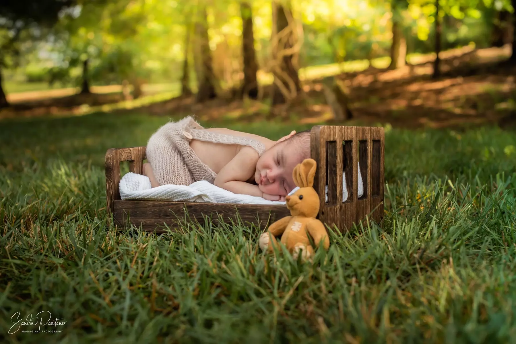 Up to 54% Off on Seasonal Photography at Shelles Creative Photography