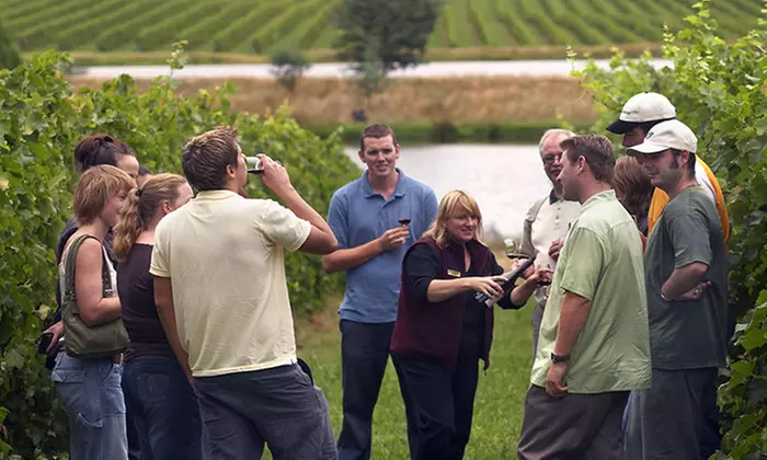 Up to 50% Off on Wine / Vineyard Tour at Texas Winos